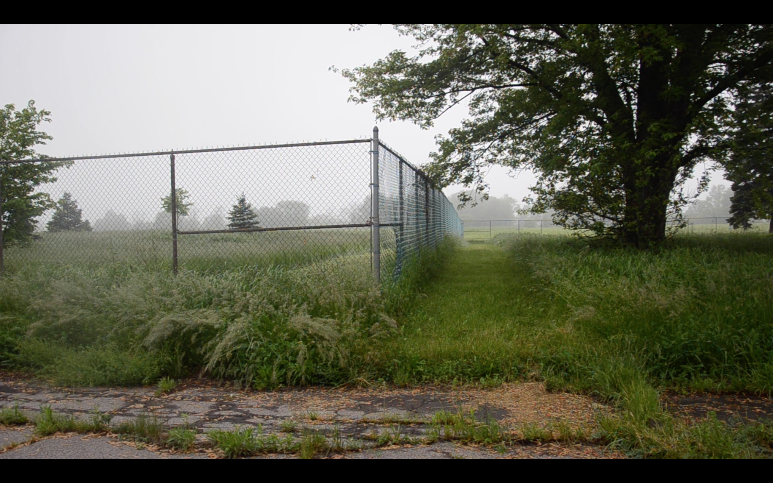 Still, Love Canal, July 12th, 2019