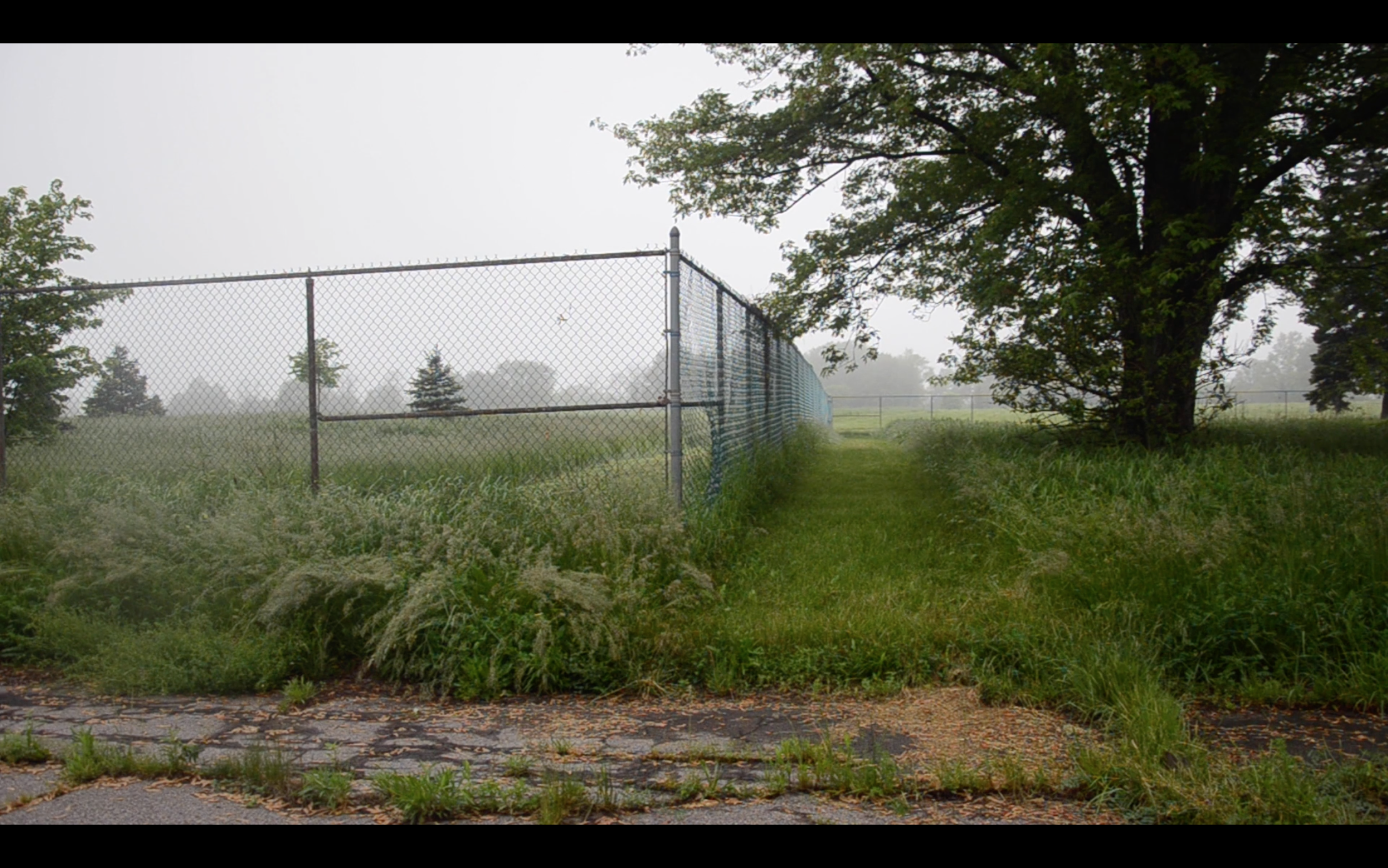  Still,  Love Canal, July 12th, 2019  