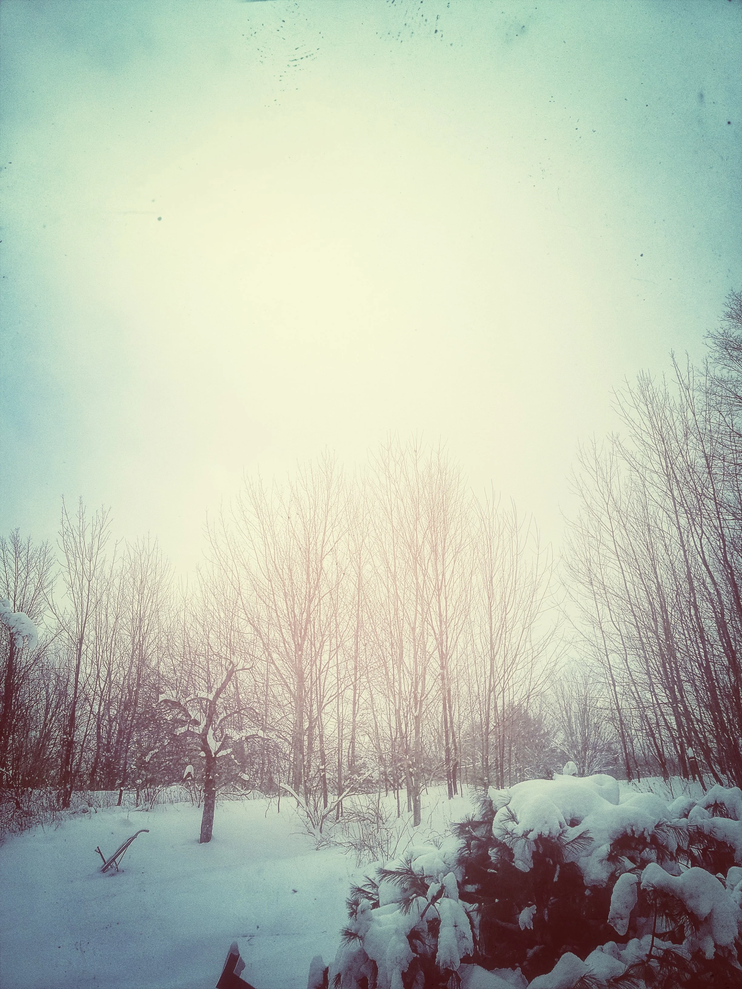 WINTER  RESTORATIVE YOGA WORKSHOP