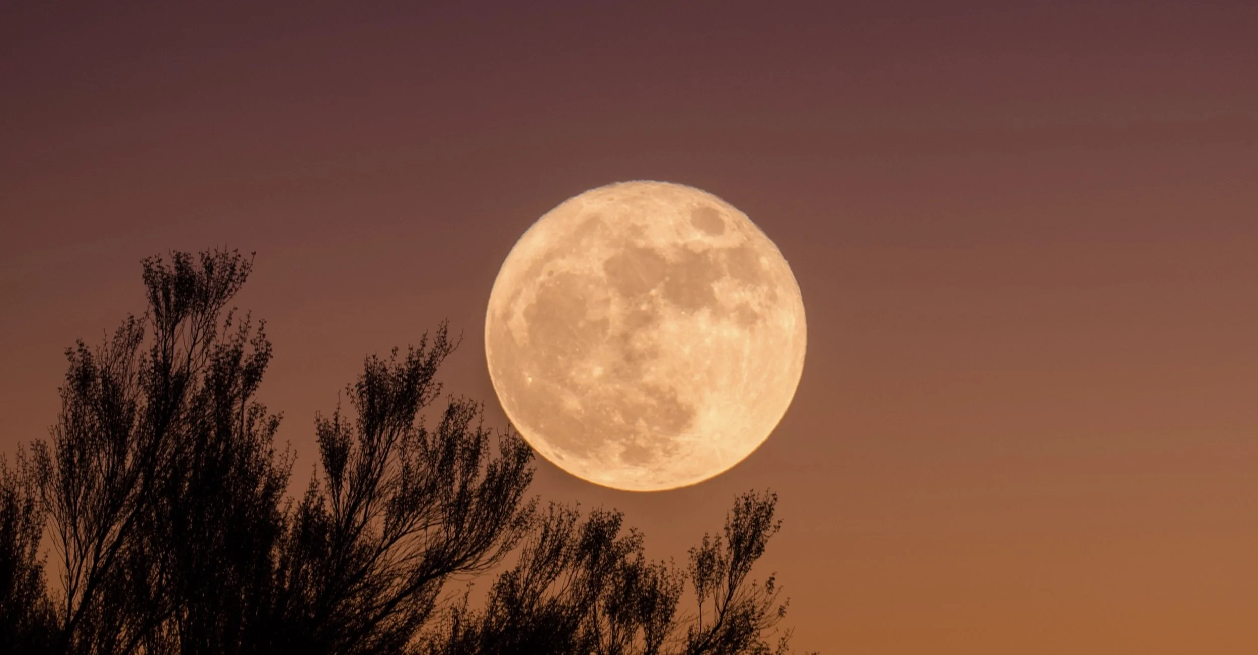 LATE SUMMER RESTORATIVE YOGA WORKSHOP