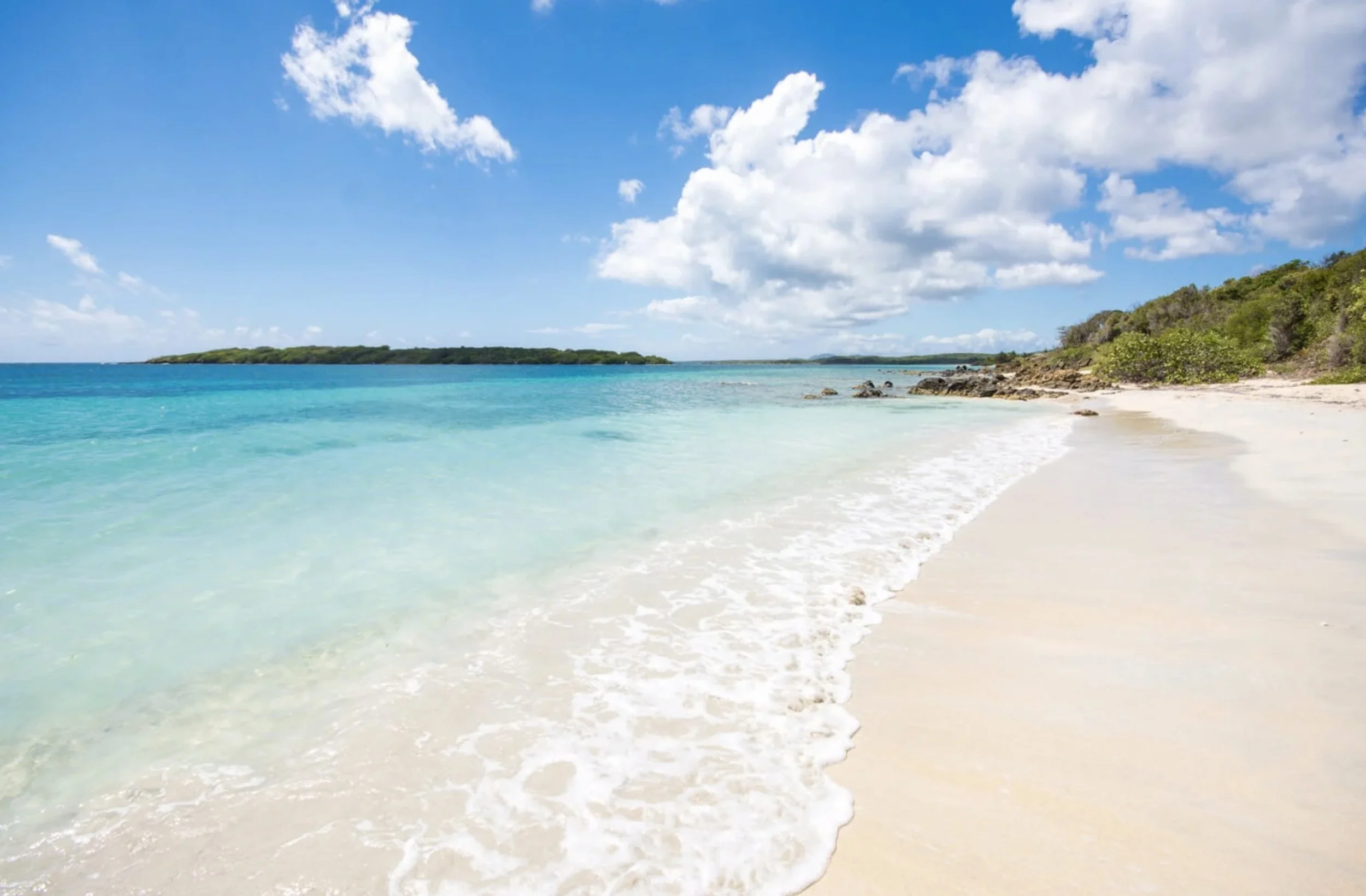 Retreat to Vieques with Emily & Frank