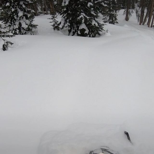 Little snippet of New Years 2020 at Wolf Creek Pass Colorado. #snowmobiling #arcticcat #skidoo #polaris @elliottcwach @nathan_tunheim @tunheimtobey @jeremynietfeld