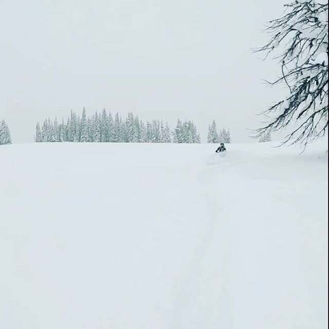 West Yellowstone #montana #snowmobiling