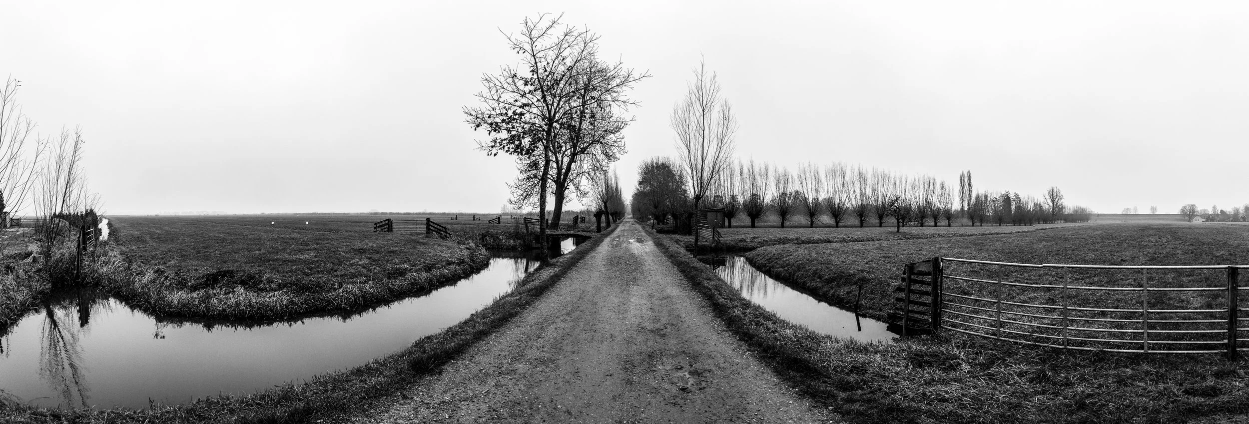 Landschap5_Axel van der Pol.jpeg