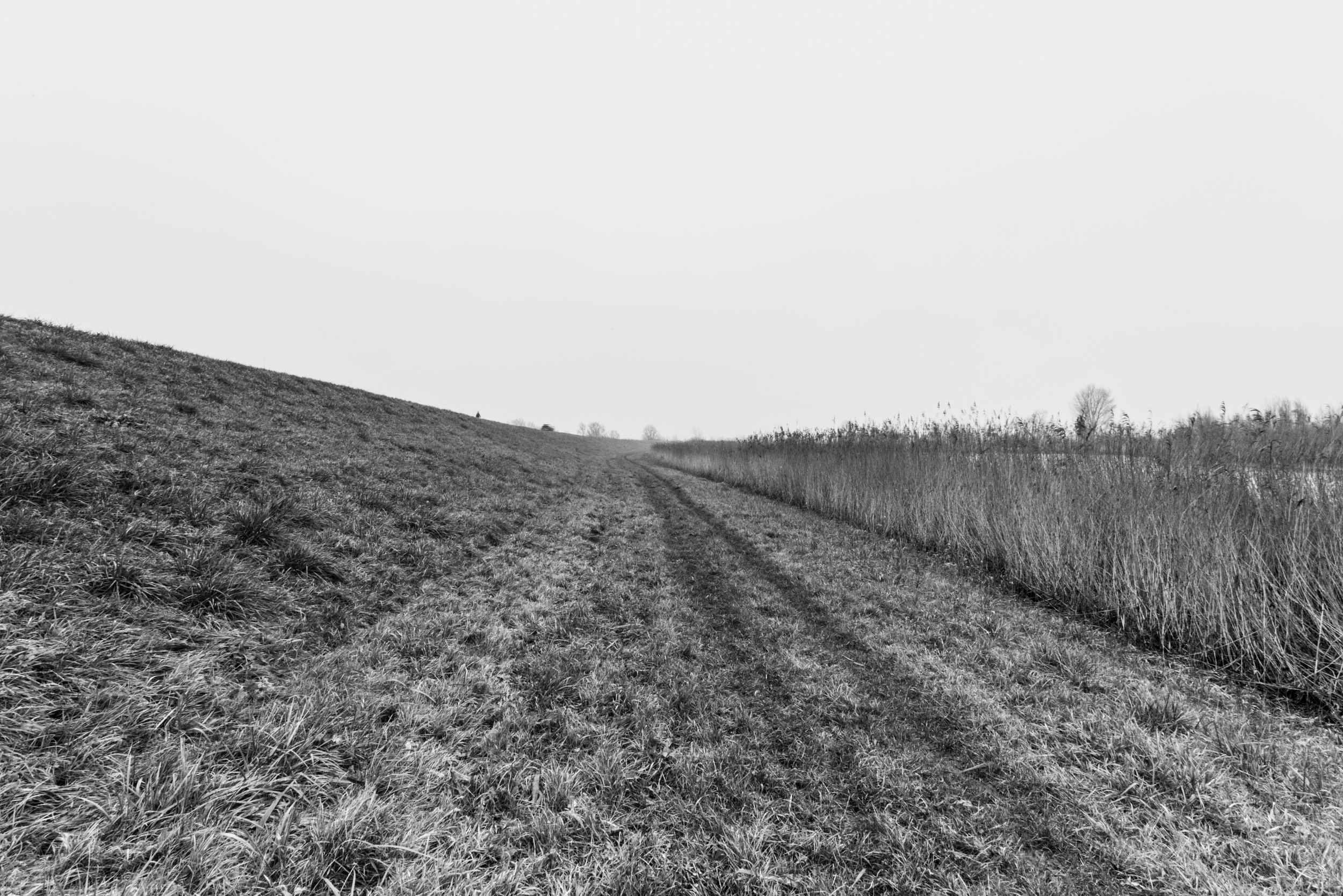 Landschap2_Axel van der Pol.jpg