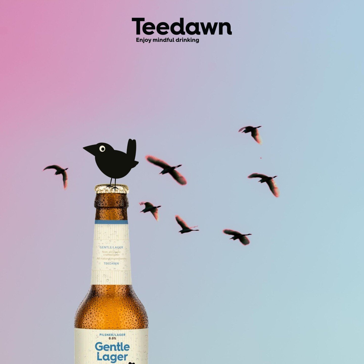 How is your day? 

Has it been tasteful? 

Would you like to make it even more tasteful? 

Visit teedawn.beer

#nolo #teedawn #lessalcohol