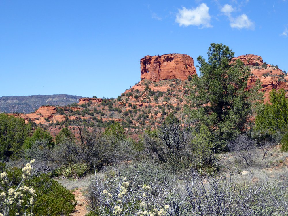 Arizona April 2019