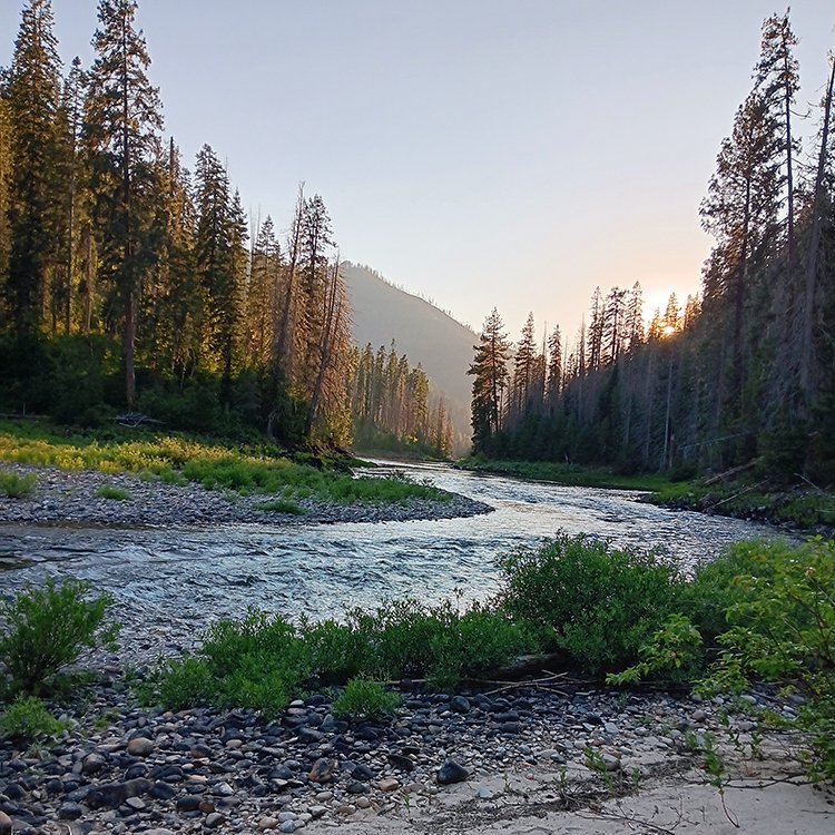 Nez Perce Forest, Idaho, 2024