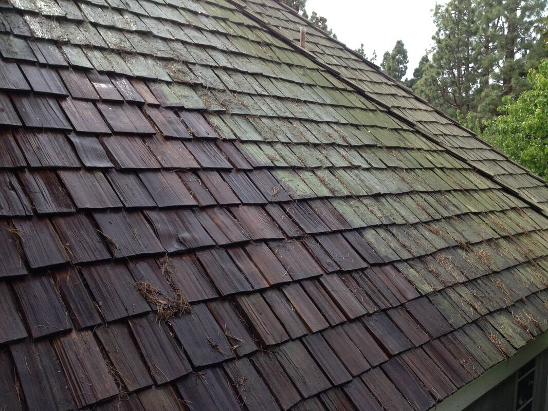 Project Gallery — Roof Renew Cleaning Solutions