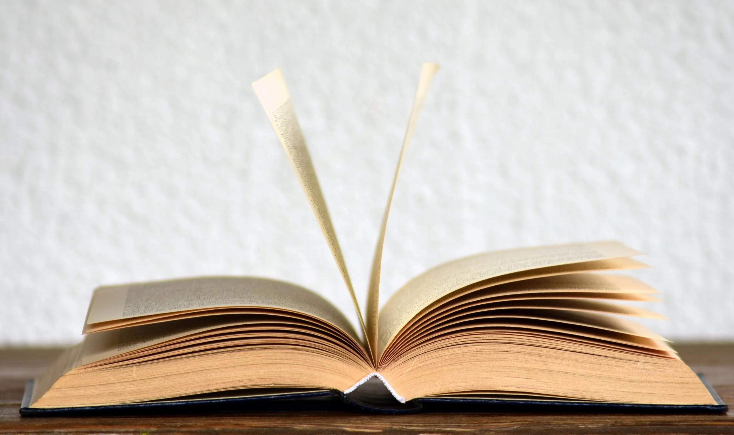 book-book-pages-bookcase-browse-415071.jpg