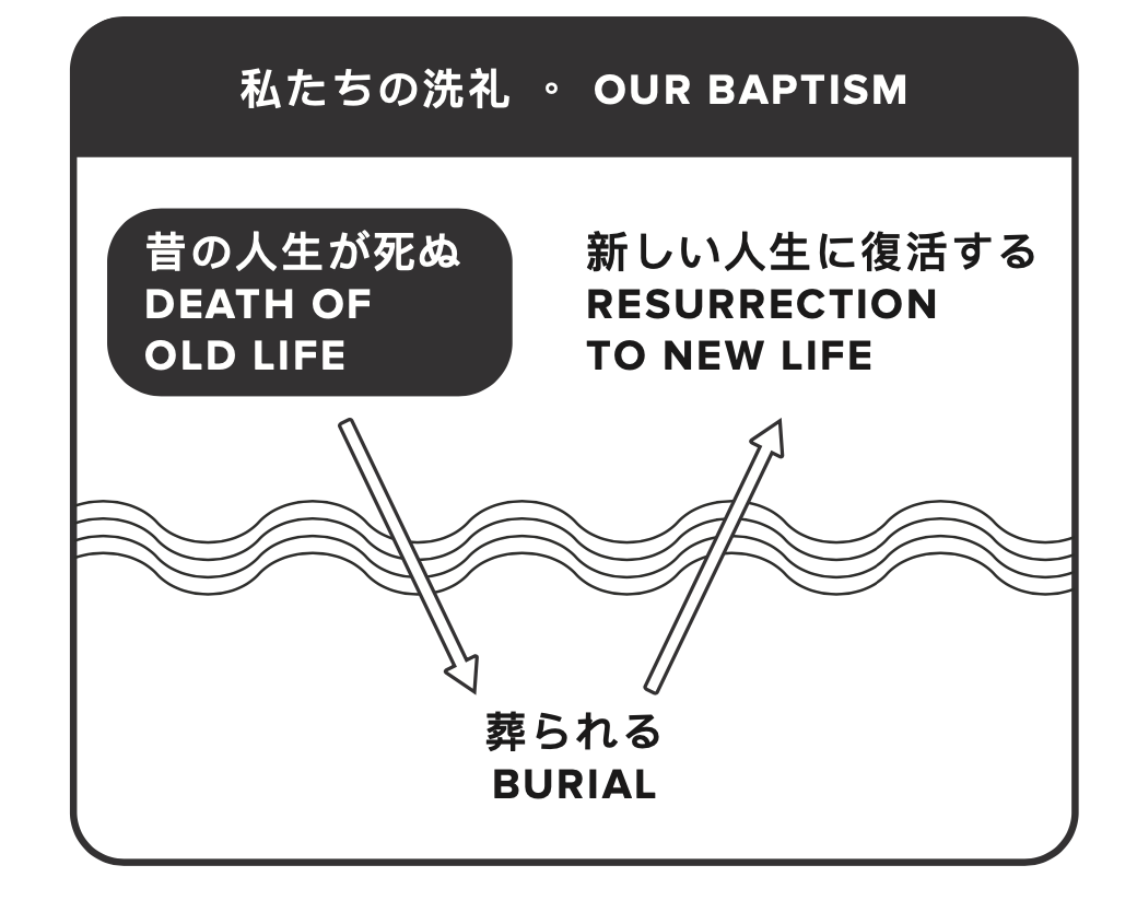 STEP SIX BAPTISM — Mustard Seed Network