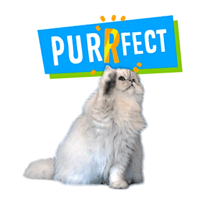 purrfect.gif