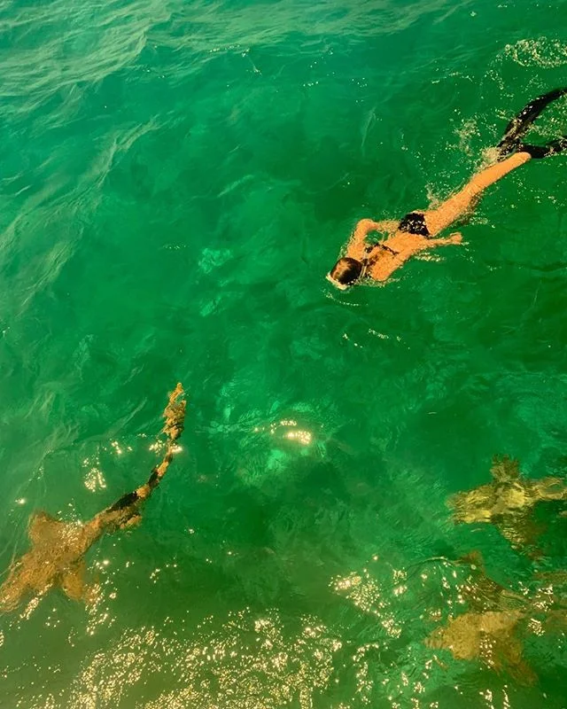 Family shark dive &amp; snorkel day, Silk Caye
#fishronin
-
.
.
.
#placencia #belize #placenciabelize #snorkeling #sharkdive #familyvacation #travelkids #silkcaye #familyadventure #caribbean