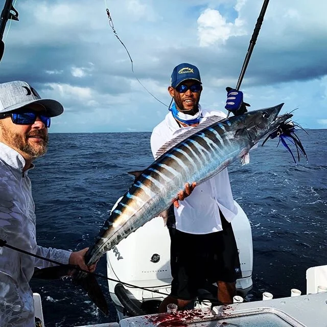 Epic day with Captain Roland Alford bringing his best wahoo game @bluereefadventures #wahoo #pelagic #huk #fountainboats