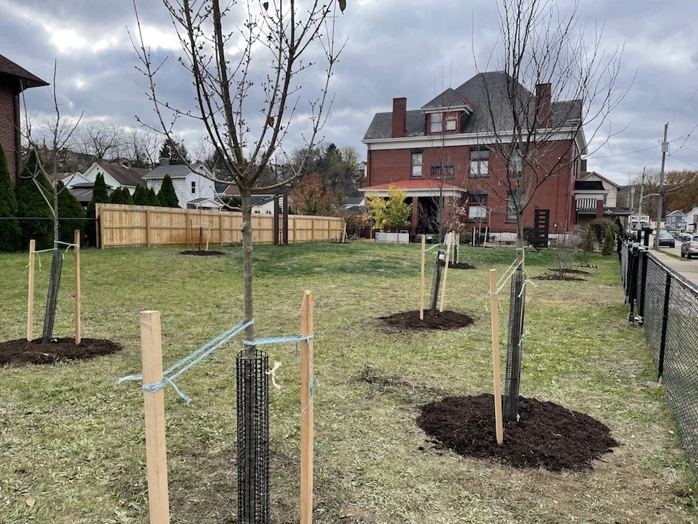 trees + sculptures .jpeg