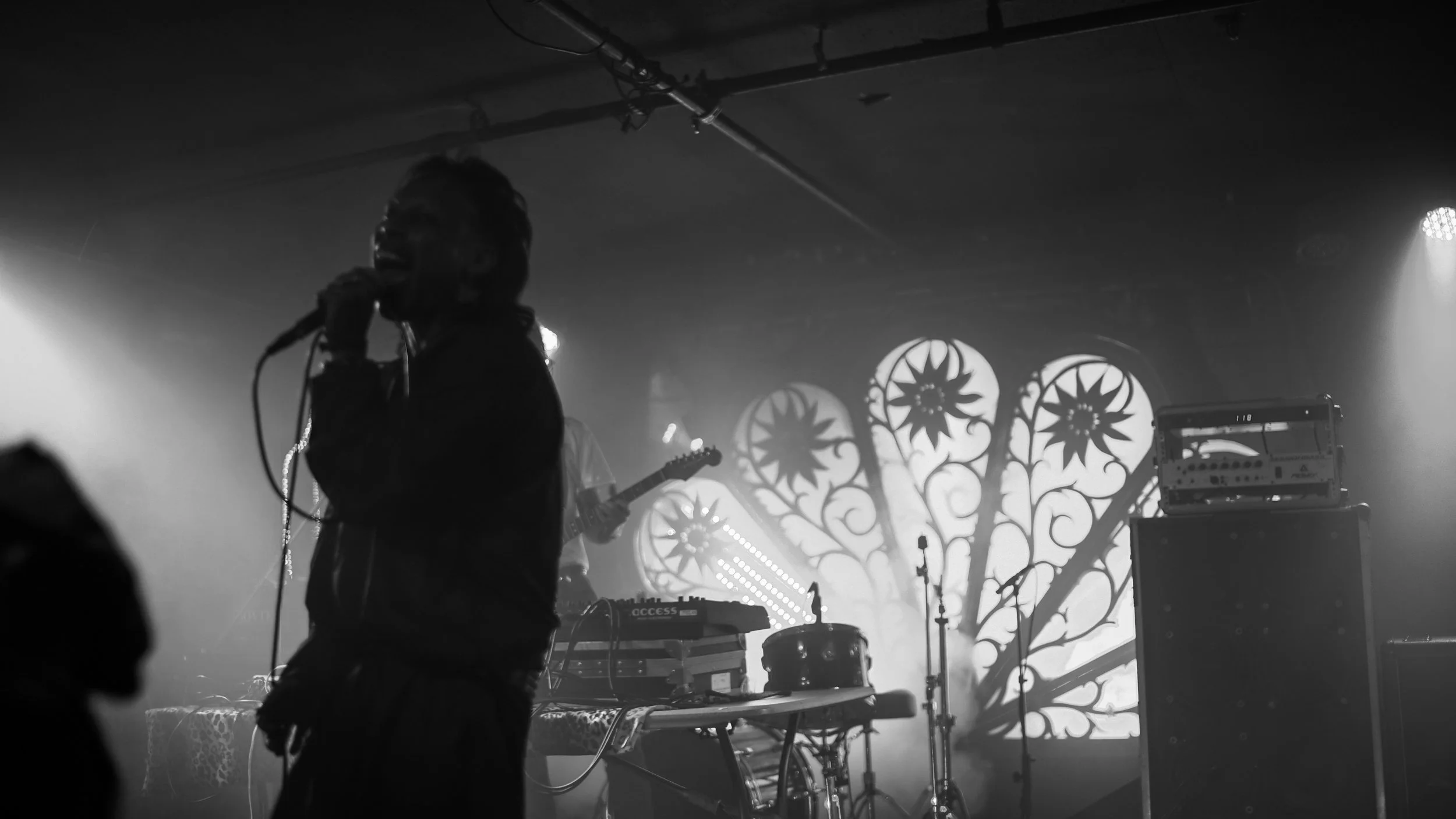 A male singer holding a microphone performs on stage with musical equipment and a decorative backdrop behind him.
