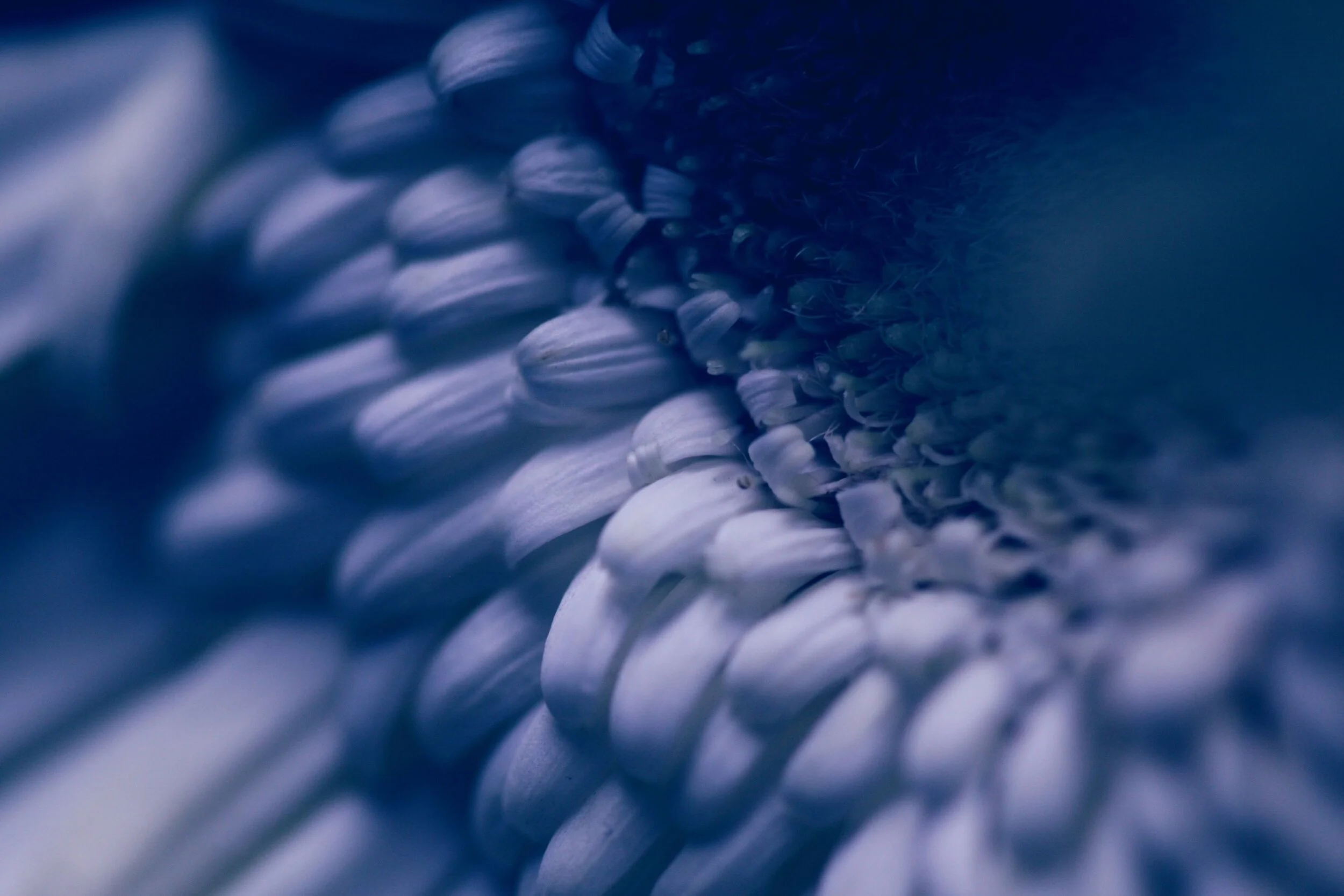 The Benefits of Tuning Forks