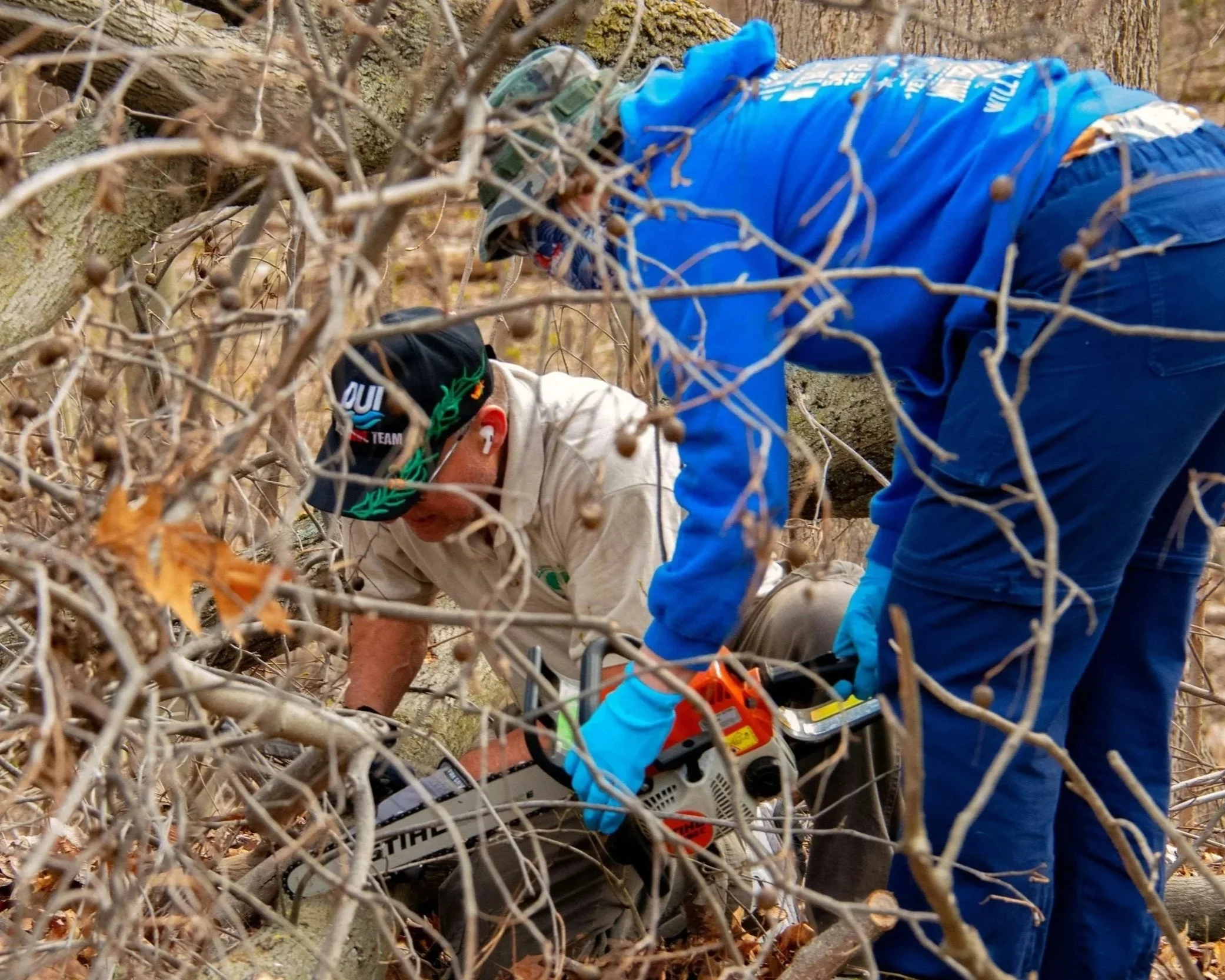 Community Care Event: Invasive Ivy Removal 