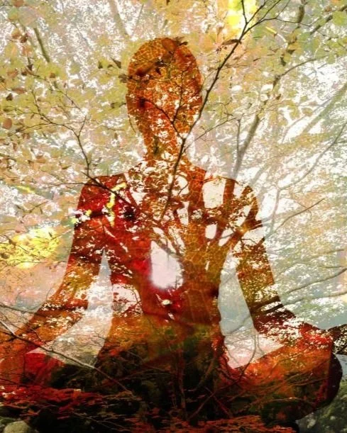 Fall Equinox Restorative Yoga + Sound Bath
