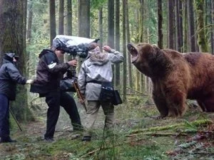 BEAR 1 .jpg