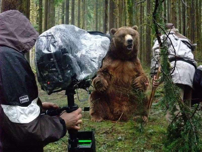 BEAR 2.jpg