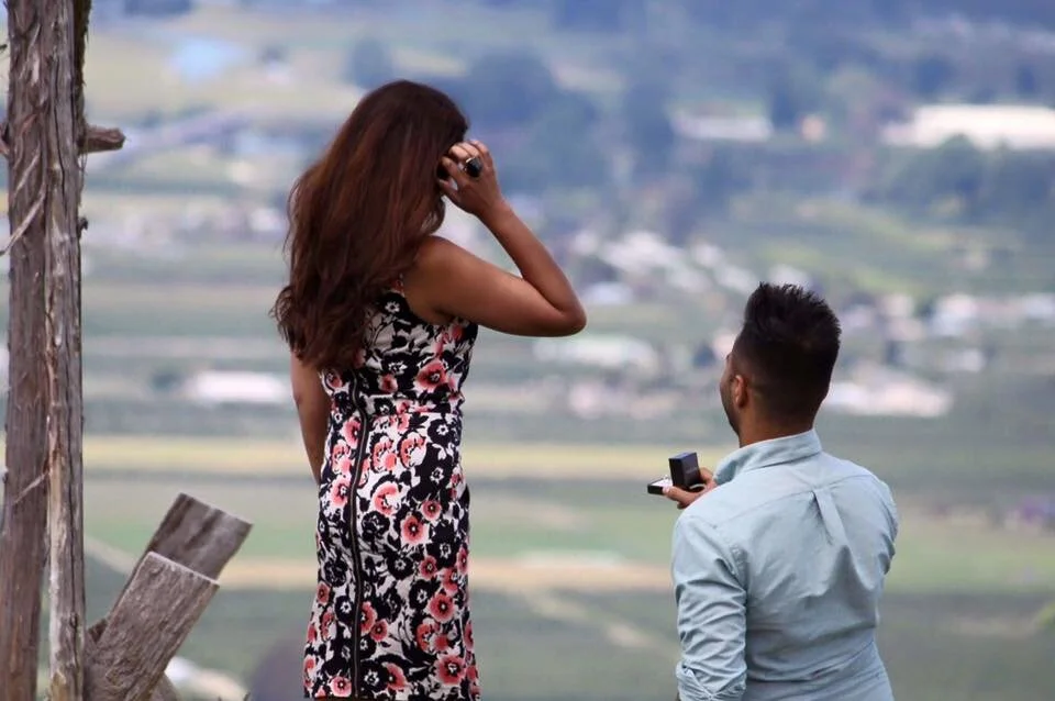 Hobbs Hill Proposal, over looking Motueka