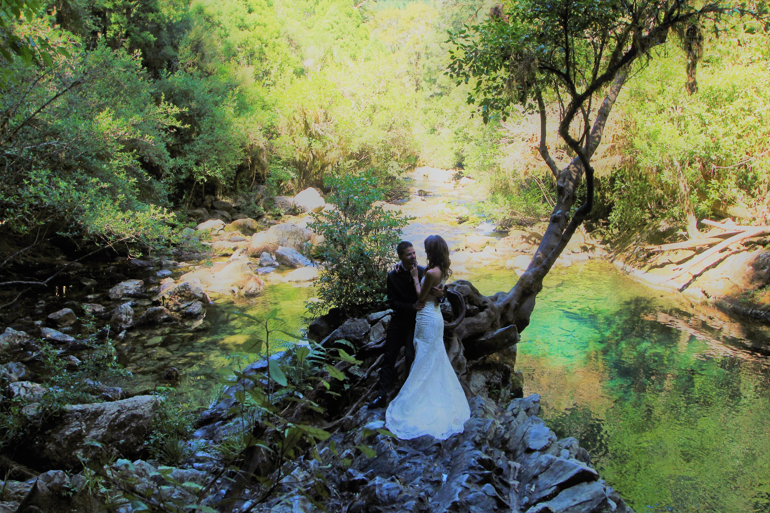 River Bank Wedding - Riwaka Resurgence