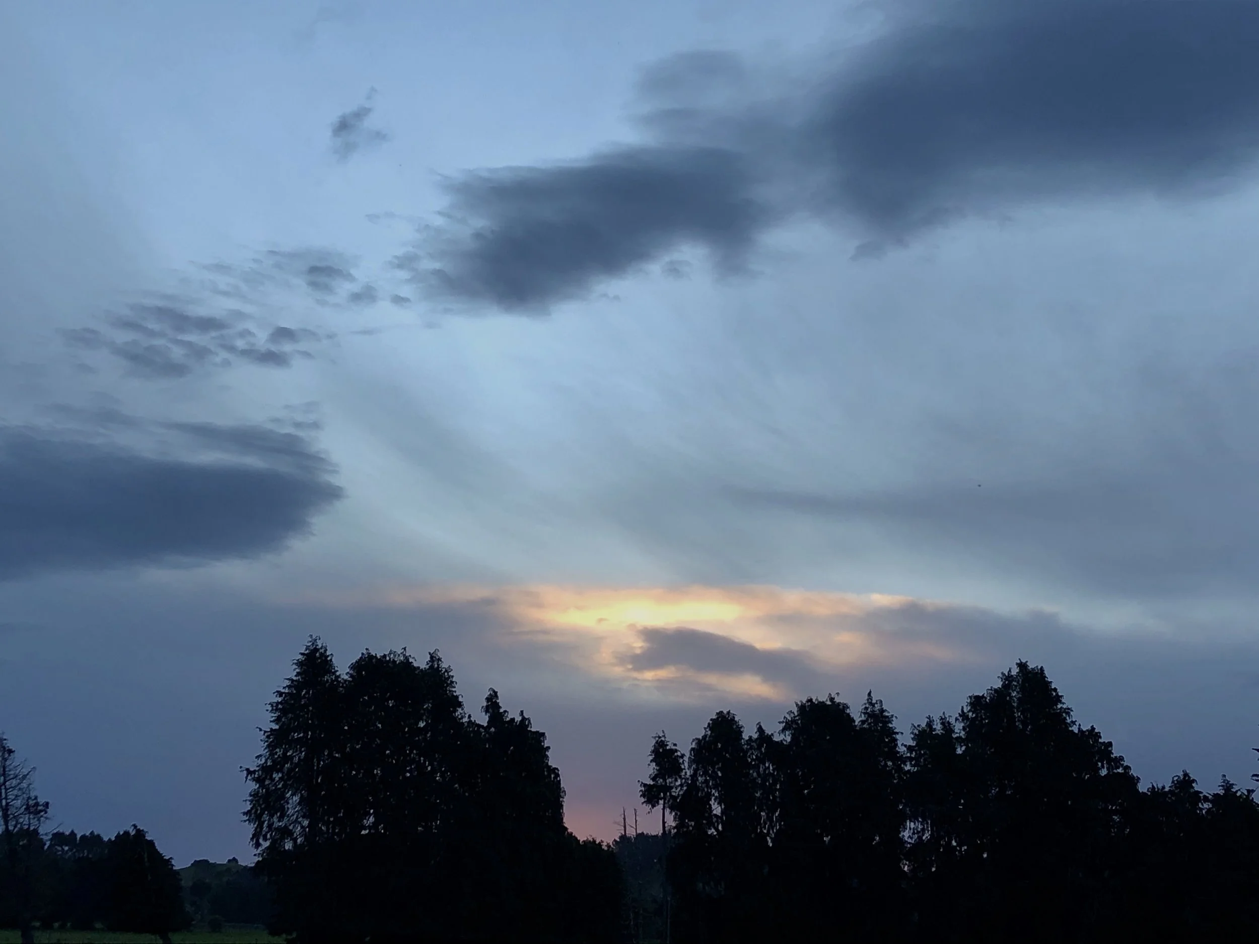 Waiting for the mud to settle