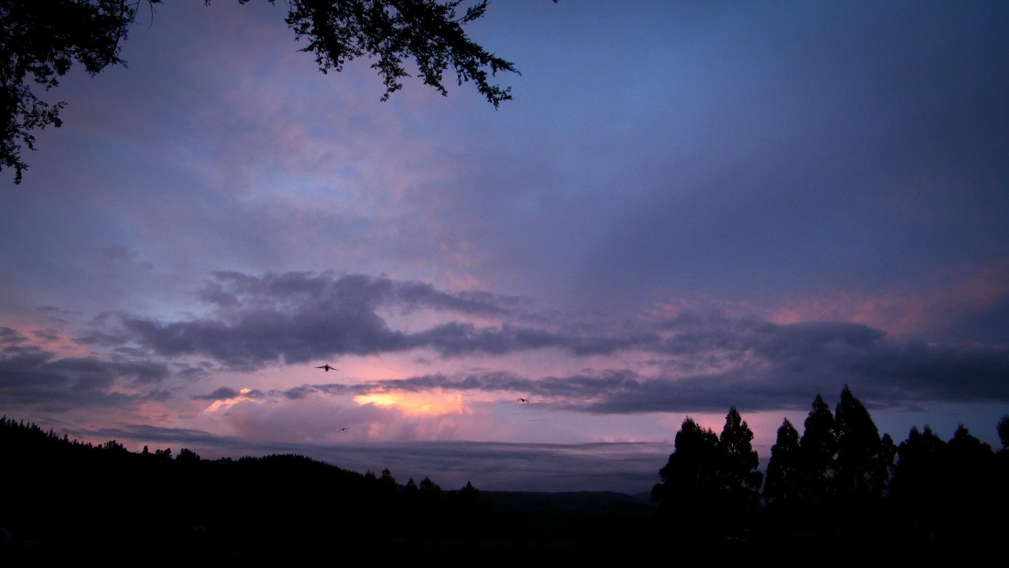 DSCF2679.JPG