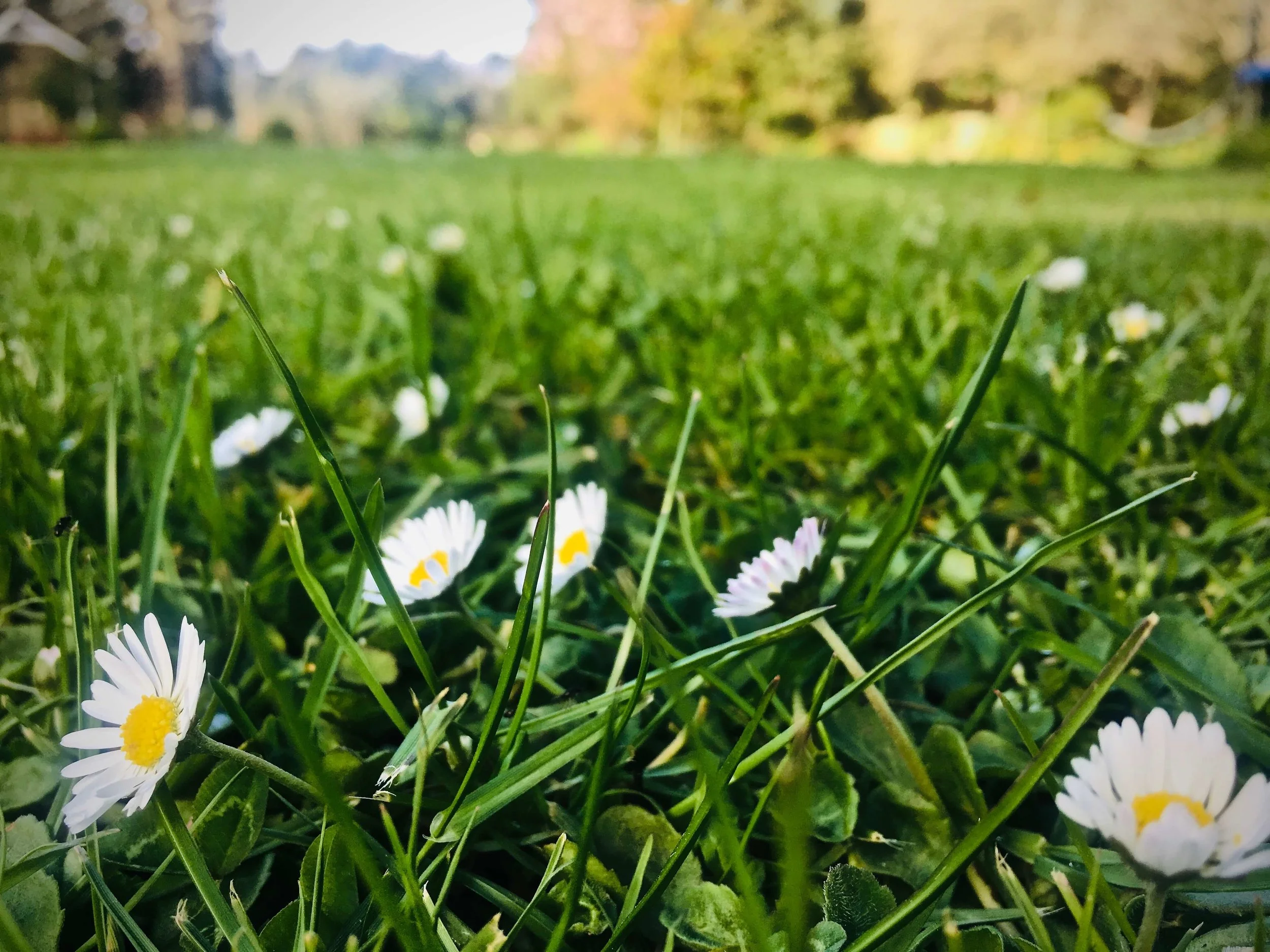 More Than We Can Grasp