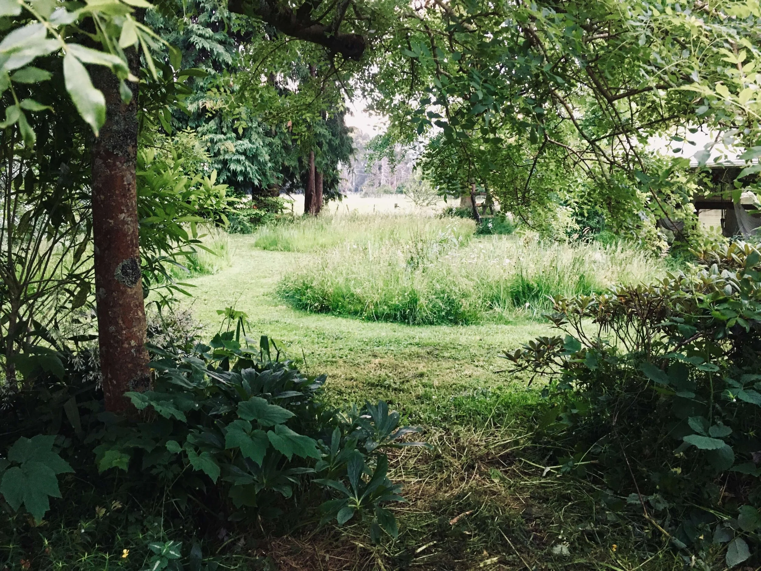 Letting the Grass Grow