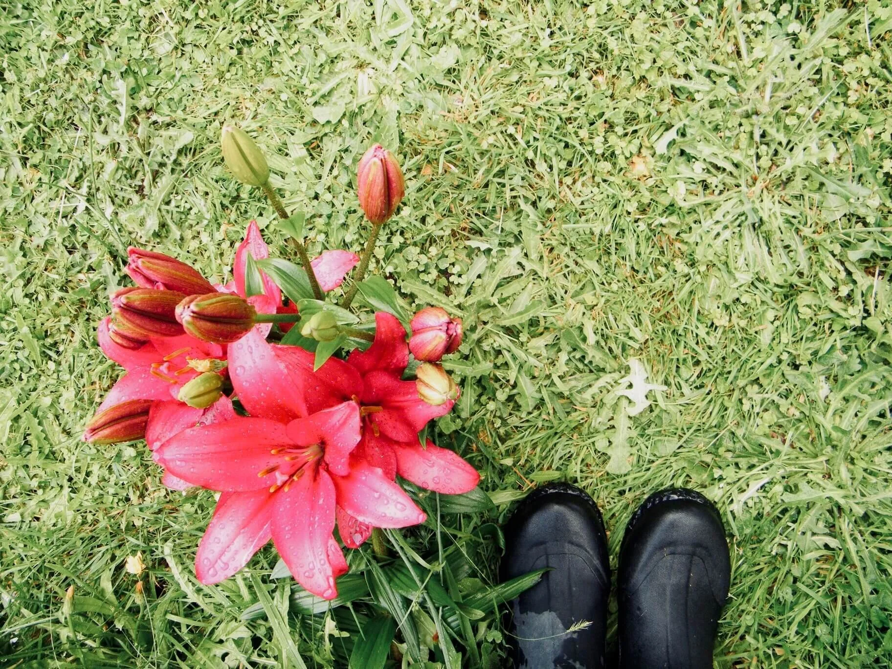 Gardens are not for controlling
