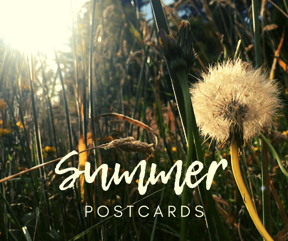 Summer postcard 5-2.png