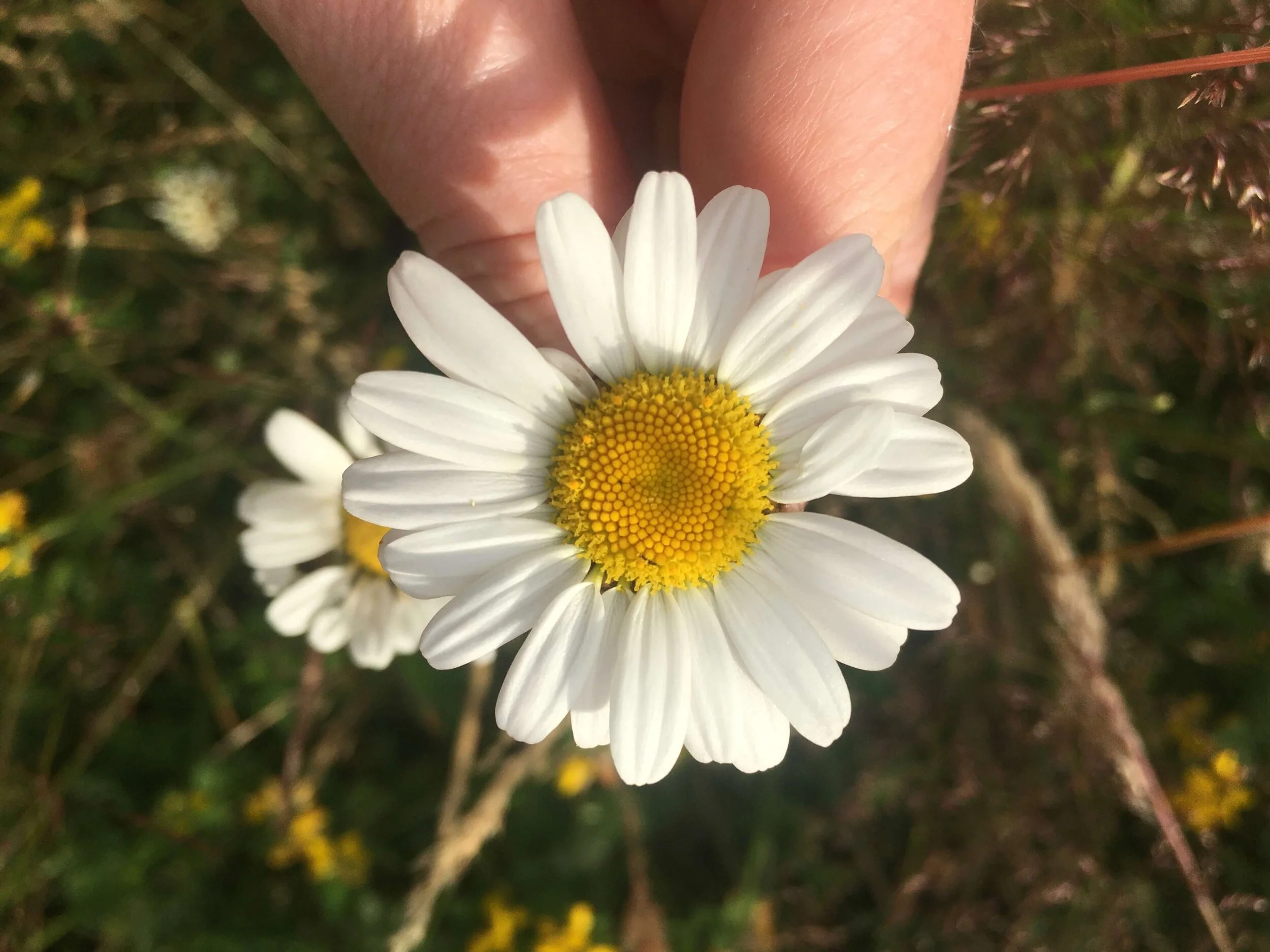 Imagine yourself small