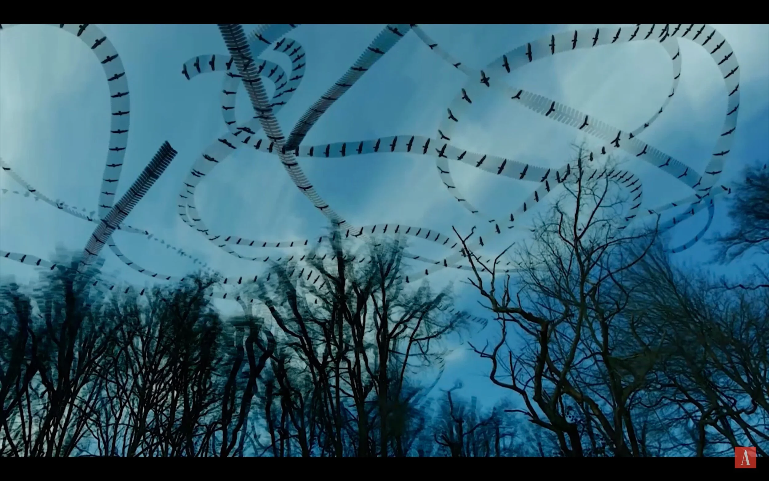 Flight trails