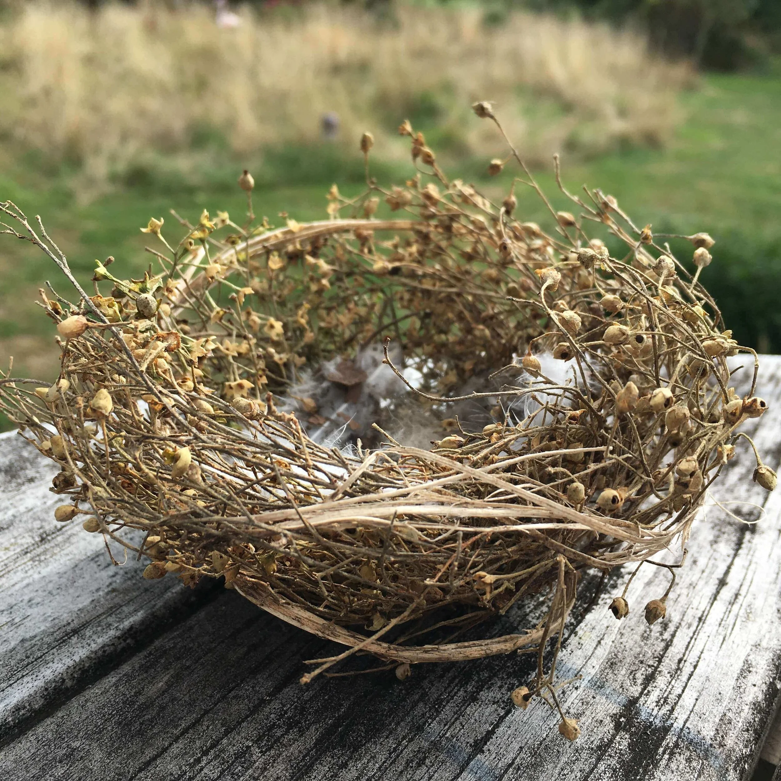 I Made a Nest