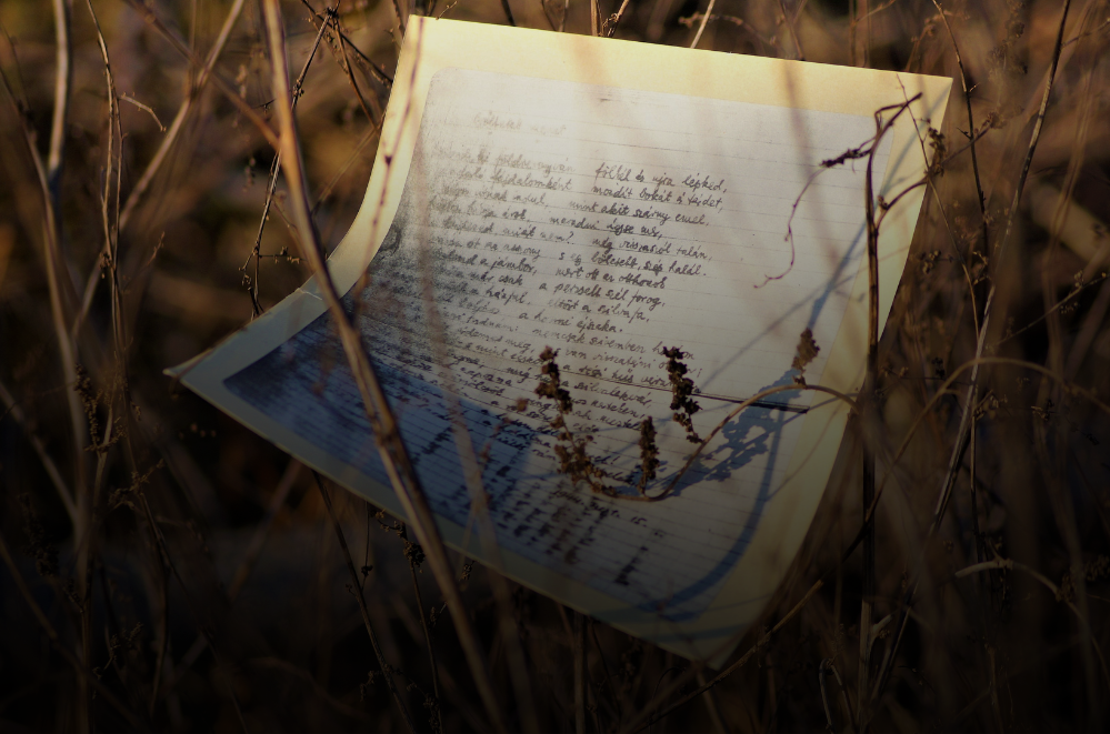 Wide offering visuals-5.png