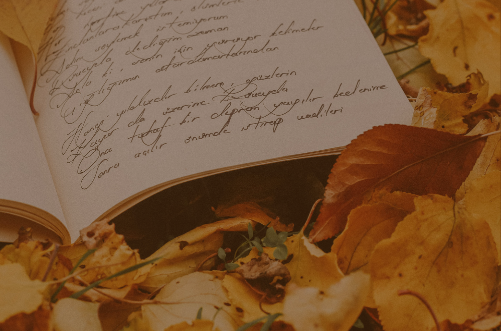 Wide offering visuals.png