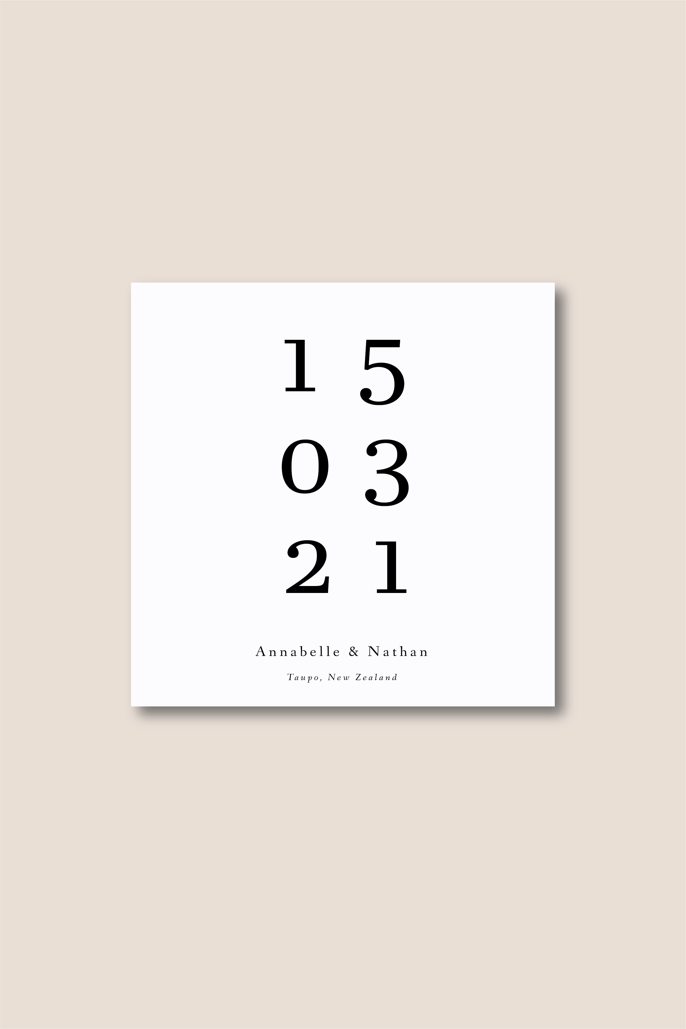 Artboard 1 copy 4@4x.png