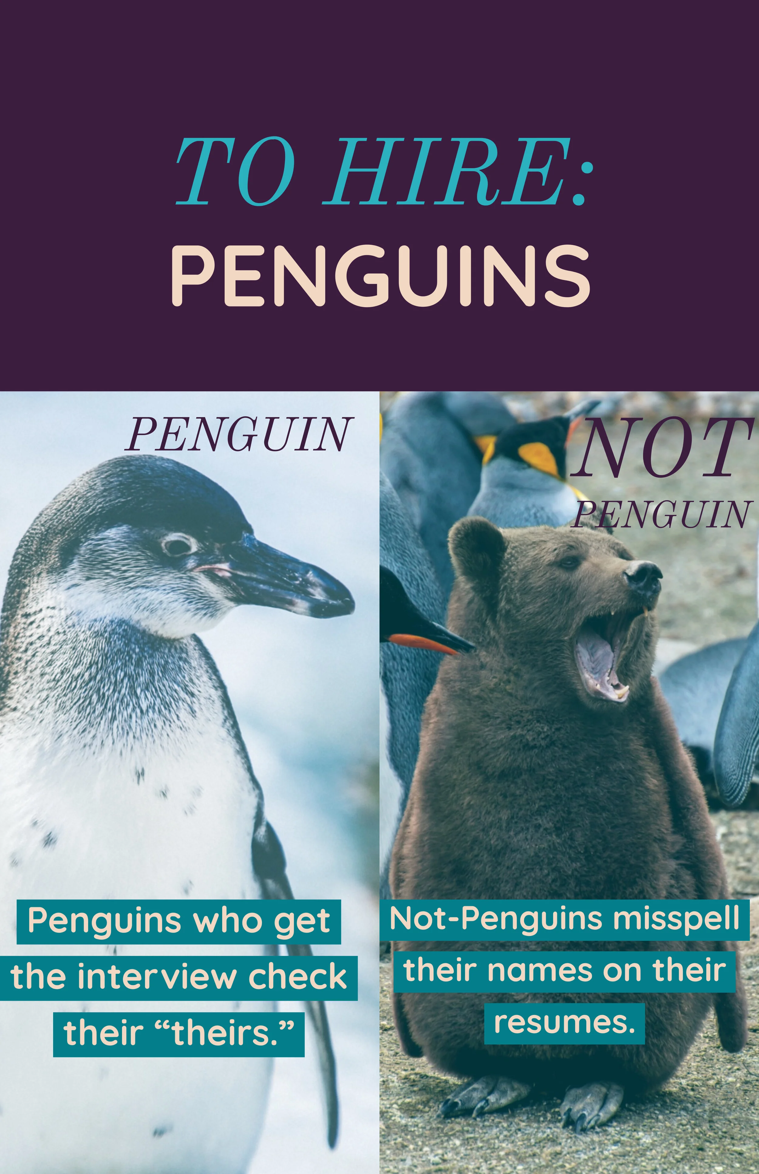 Advice for the job hunter