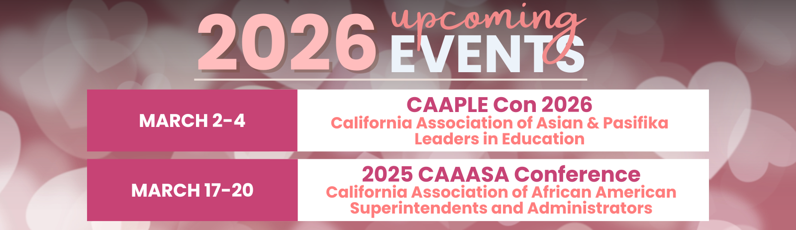 BANNER Website (3).png