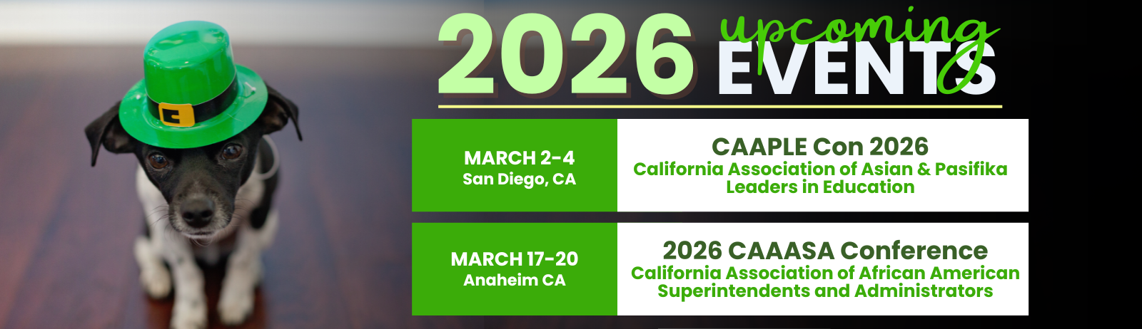 BANNER Website (9).png