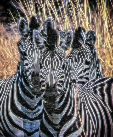 Psychedelic Stripes-2.JPG