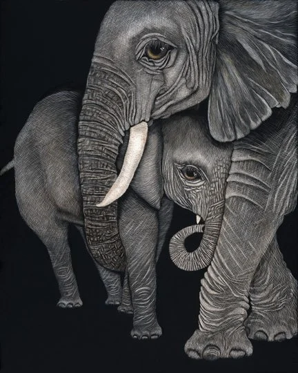  Elephants 