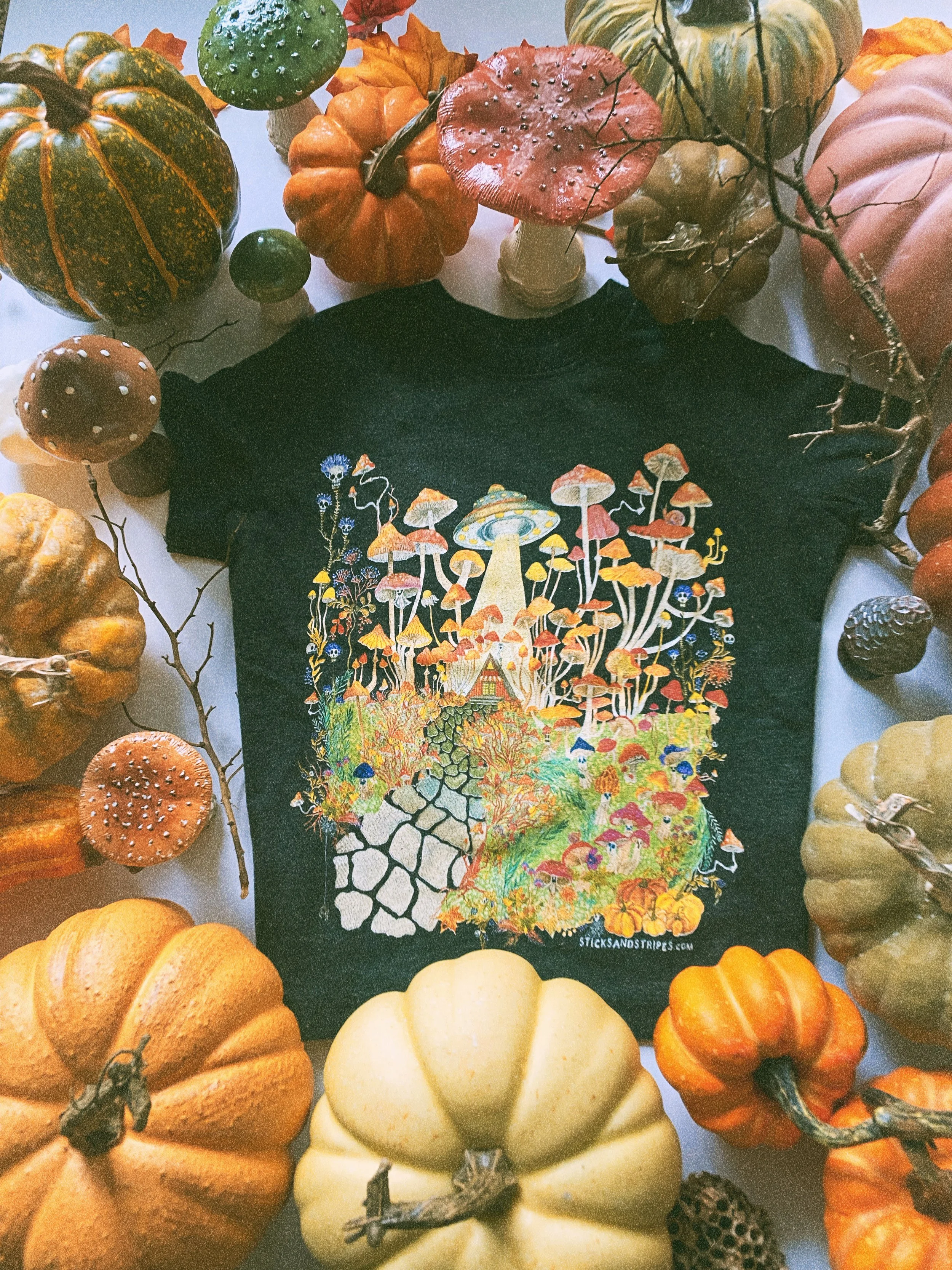 AfterlightImage 3 copy 2.JPG