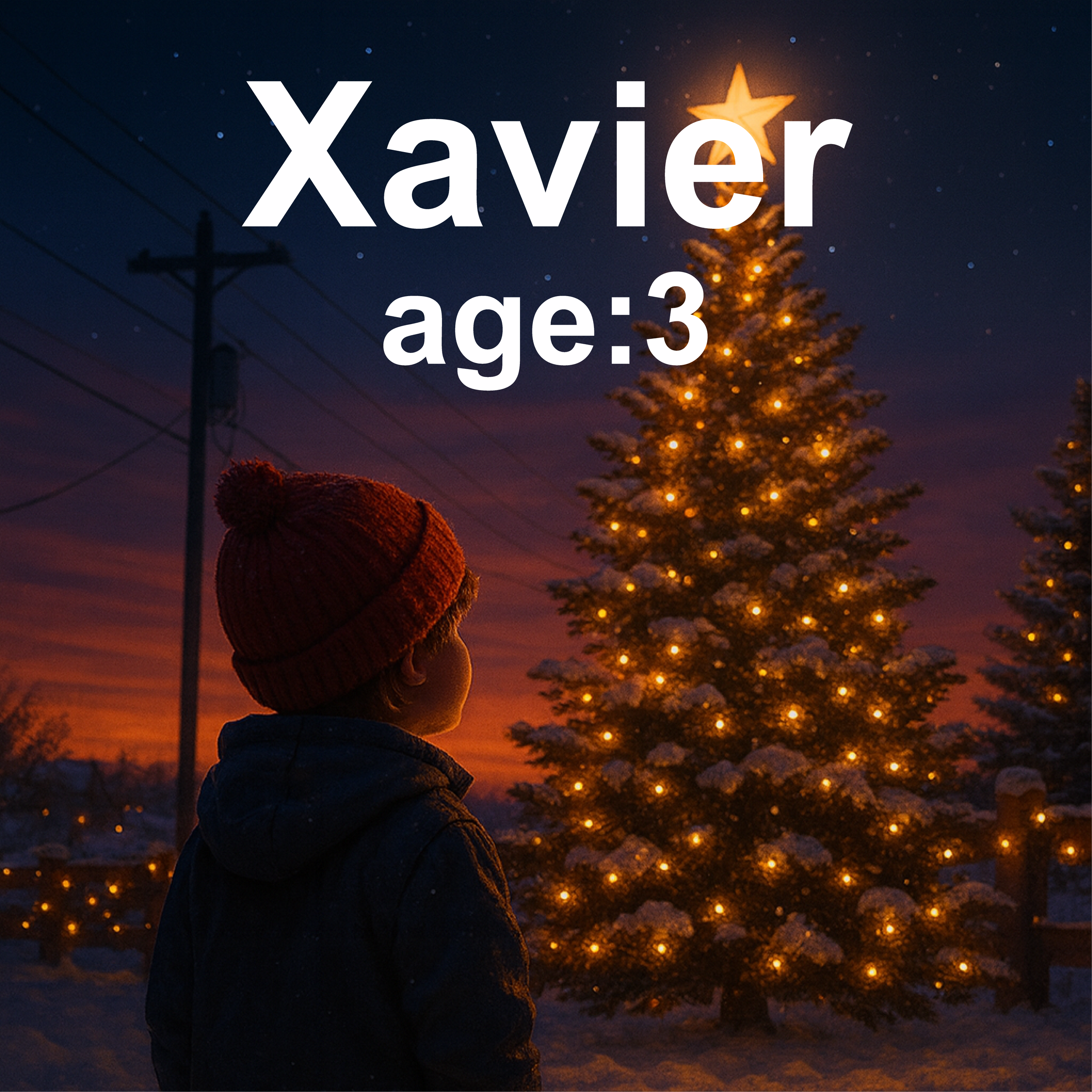 Xavier.png