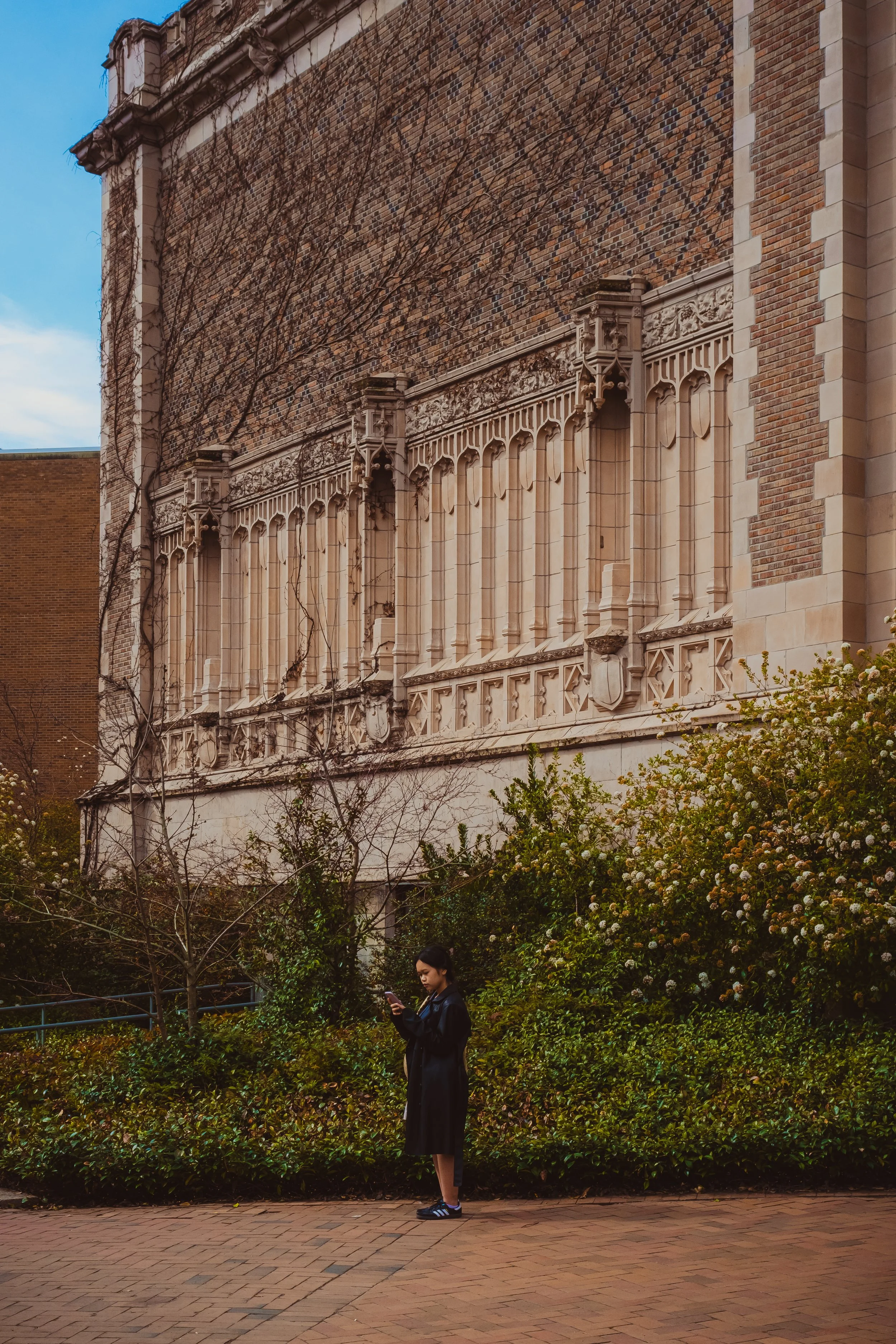 DSCF2516.jpg