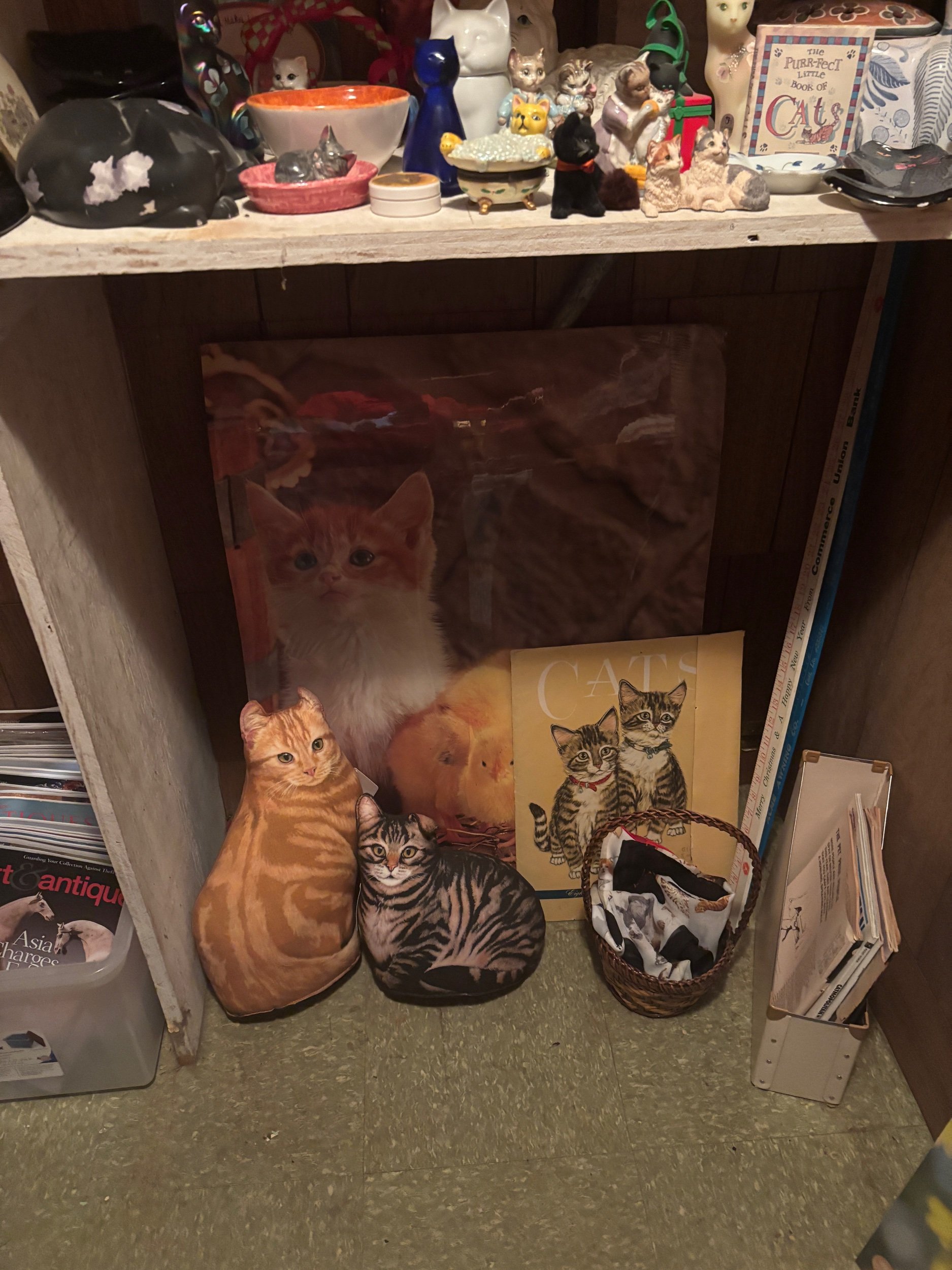 IMG_3109.jpeg