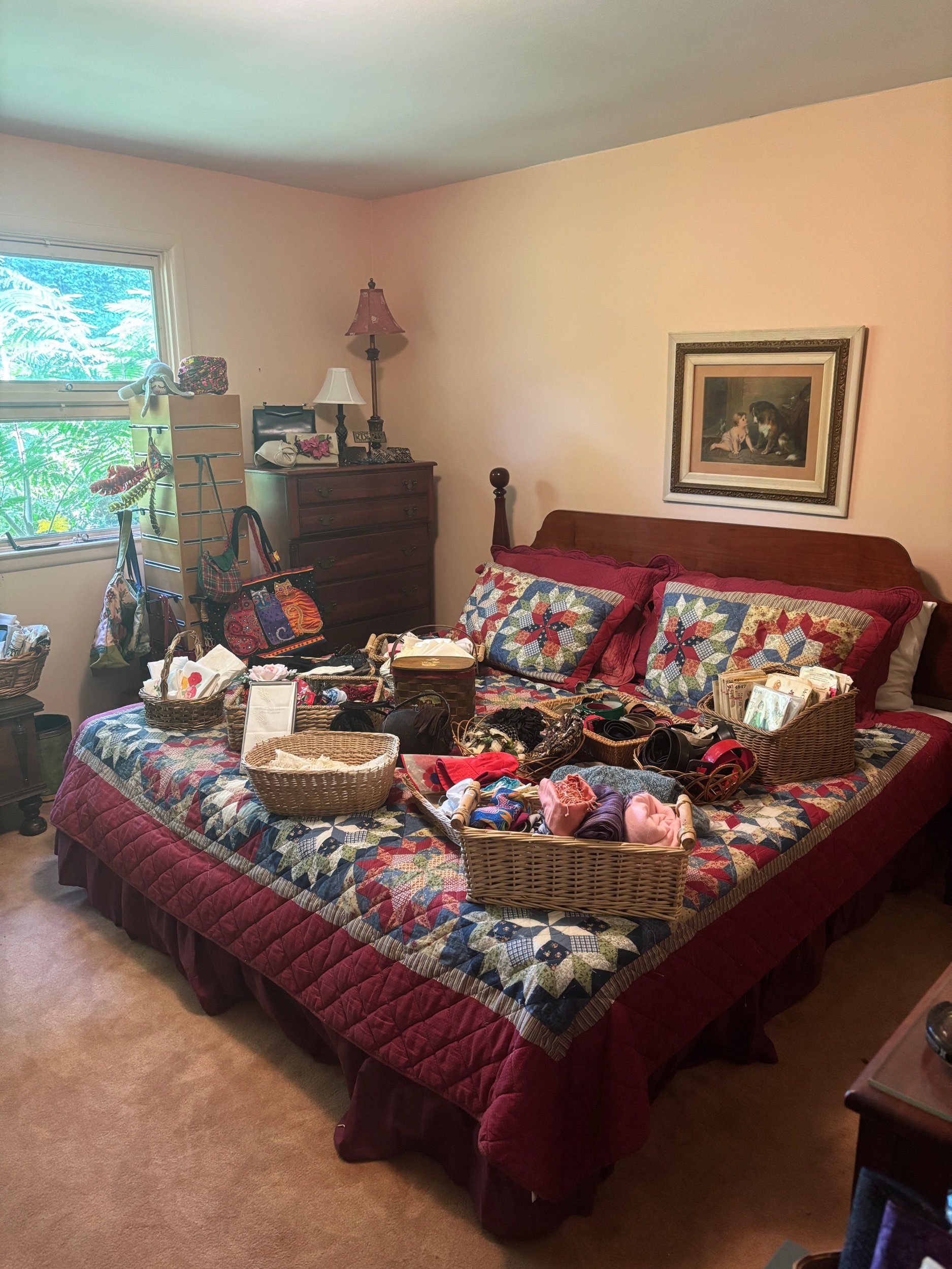 IMG_3134.jpeg