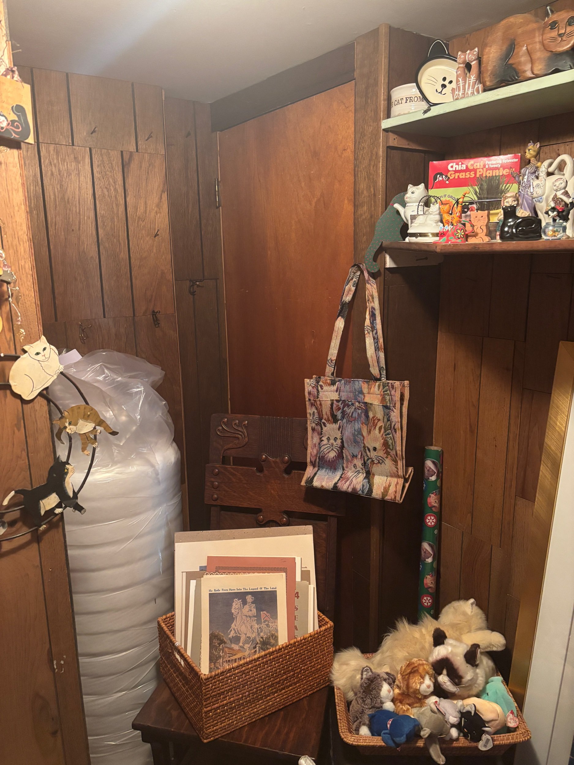 IMG_3111.jpeg